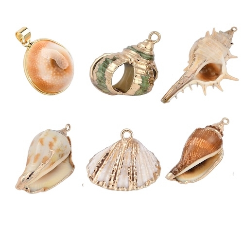 1 COQUILLAGE NATUREL EMAILLE