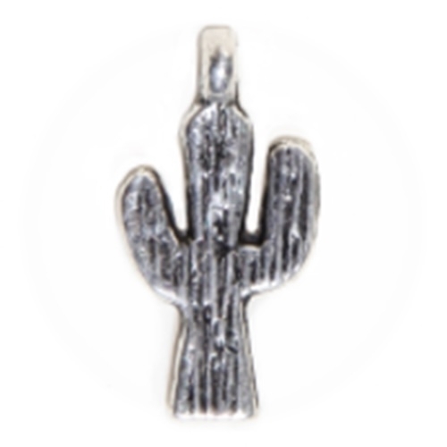 2 CHARMS CACTUS