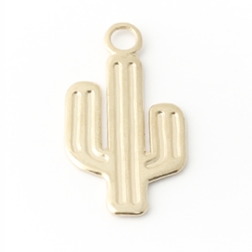 2 CHARMS CACTUS