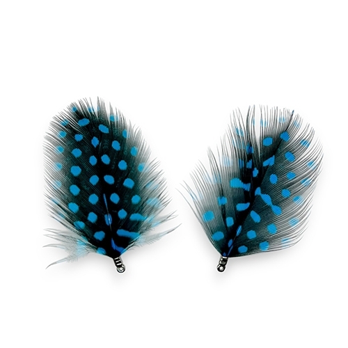 2 PLUMES POIS
