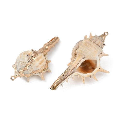 1 COQUILLAGE NATUREL EMAILLE