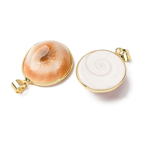 1 COQUILLAGE PORTE BONHEUR BLANC