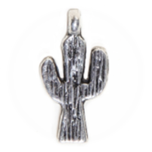 2 CHARMS CACTUS