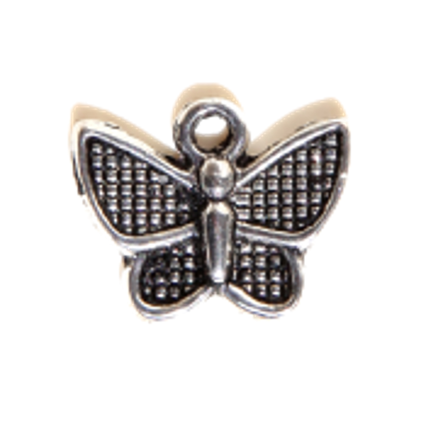 2 CHARMS PAPILLON