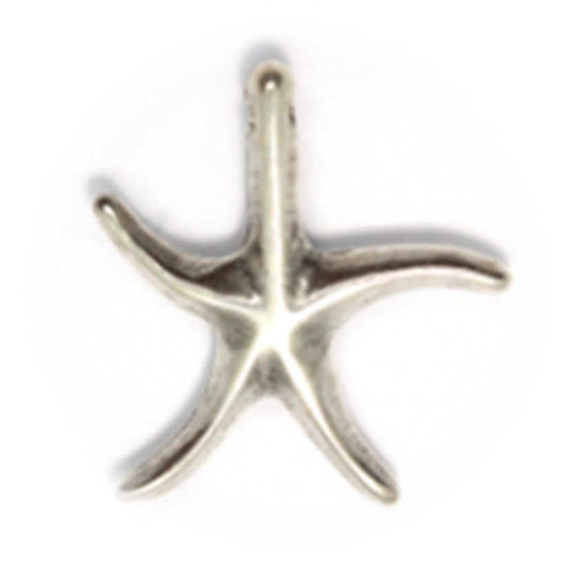 2 CHARMS ETOILE DE MER