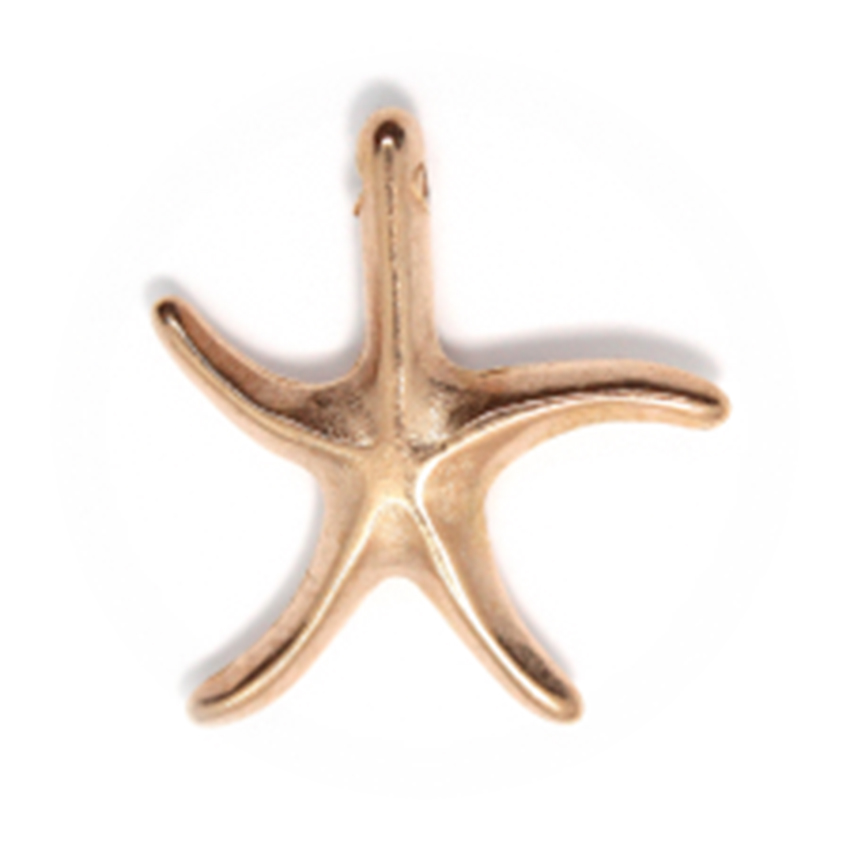 2 CHARMS ETOILE DE MER