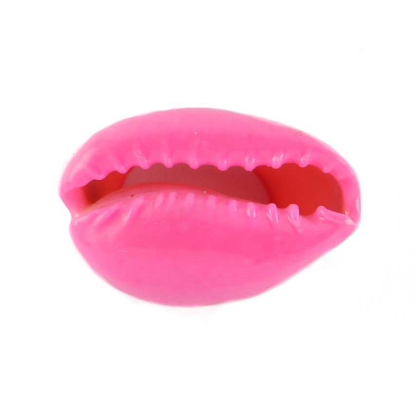 2 COQUILLAGES CAURI 