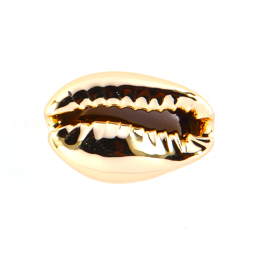 2 COQUILLAGES CAURI