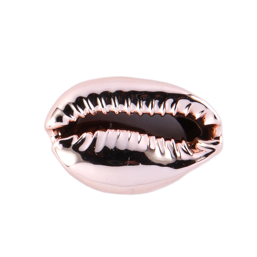 2 COQUILLAGES CAURI