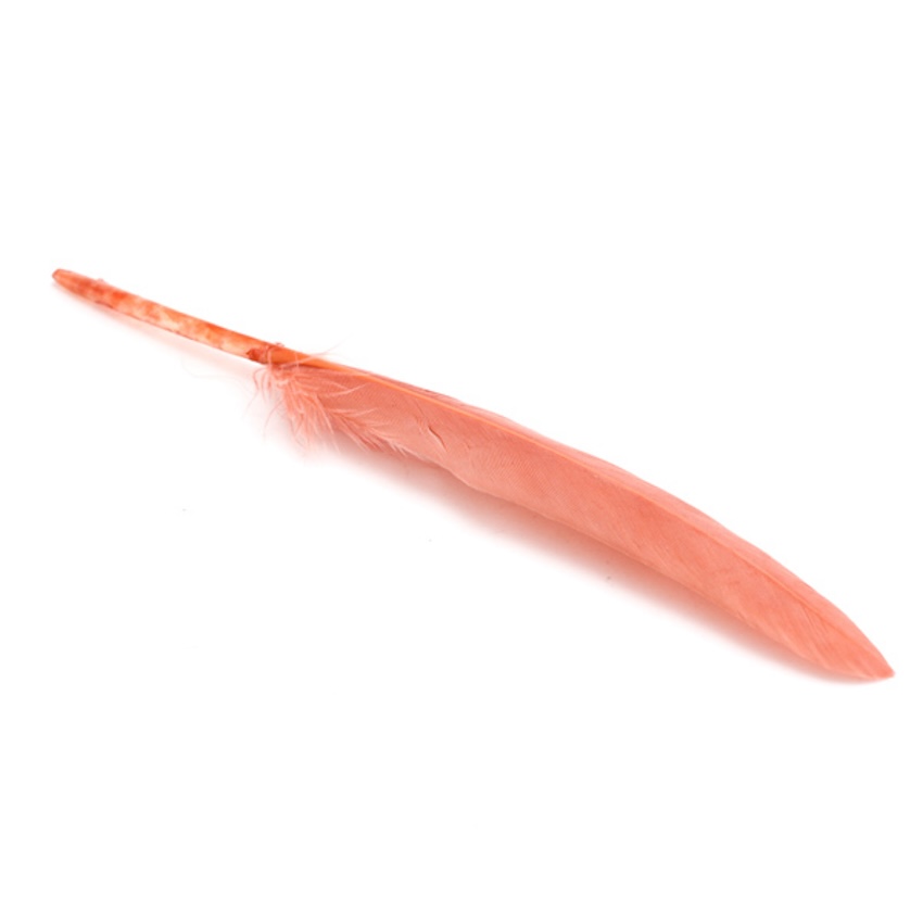 10 PLUMES INDIENNE 