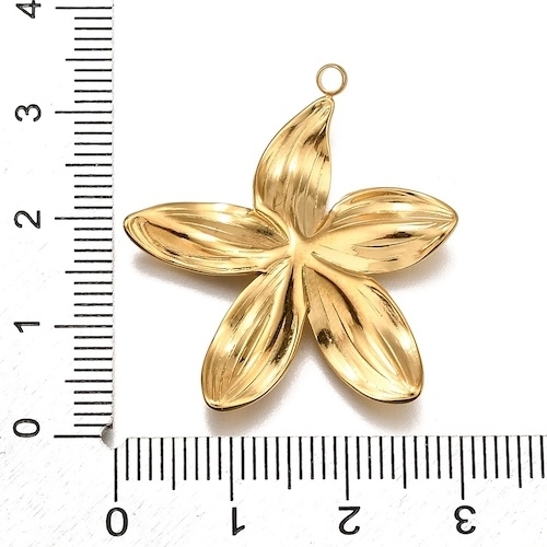 OR - 31.5*29 mm - Sachet